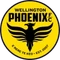 Wellington Phoenix logo