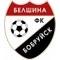 Belshina logo