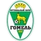 FC Gomel logo