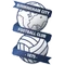 Birmingham logo