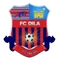 Dila Gori logo