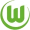 Wolfsburg vs Galatasaray