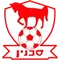 Sakhnin logo