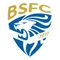 Brescia logo