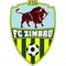 Zimbru Chisinau logo