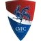 Gil Vicente logo