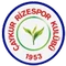 Rizespor logo