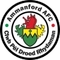 Ammanford logo