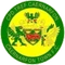 Caernarfon logo