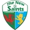 The New Saints logo