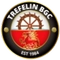 Trefelin logo